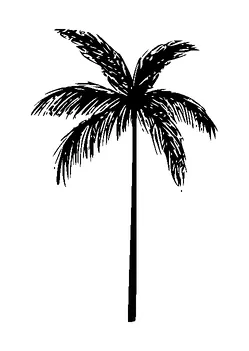 Palm Tree Tattoo Meaning, PNG and SVG