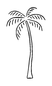 Palm Tree Simple Tattoo Meaning, PNG and SVG