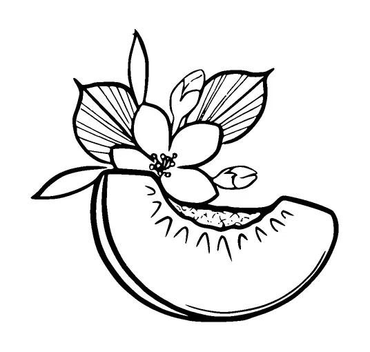 Peach And Flower Tattoo Meaning, PNG and SVG