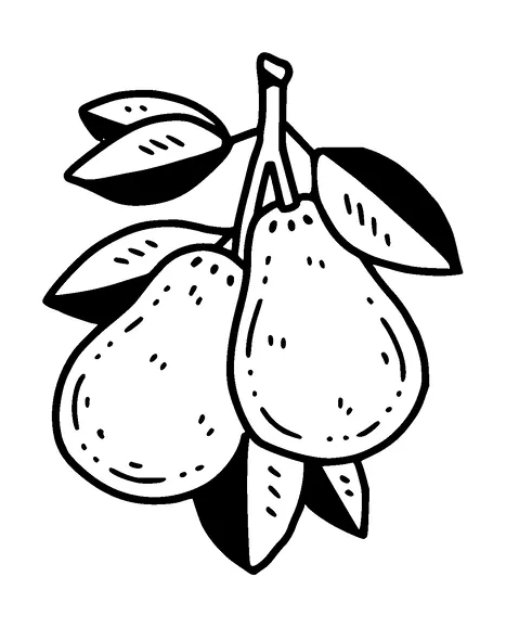 Pears Tattoo Meaning, PNG and SVG