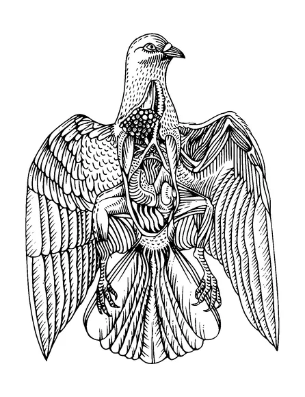 Pigeon Anatomy Tattoo Meaning, PNG and SVG