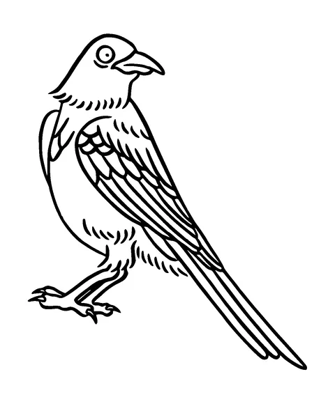 Pigeon Looking Back Tattoo Meaning, PNG and SVG