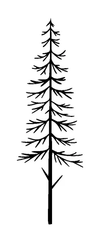 Pine Tree Simple Tattoo Meaning, PNG and SVG