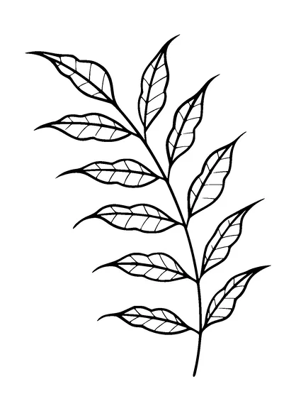 Plant Tattoo Meaning, PNG and SVG