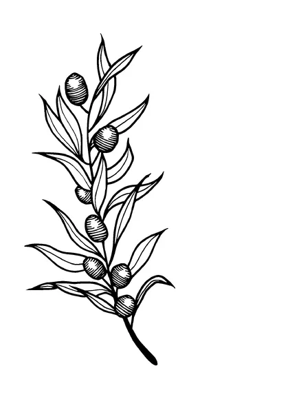 Plant Tattoo Meaning, PNG and SVG