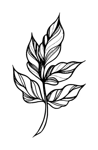 Plant Tattoo Meaning, PNG and SVG