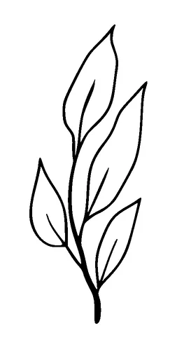 Plant Tattoo Meaning, PNG and SVG