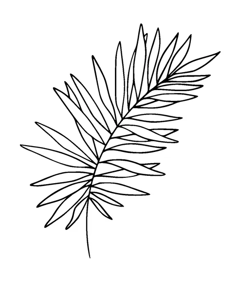 Plant Tattoo Meaning, PNG and SVG