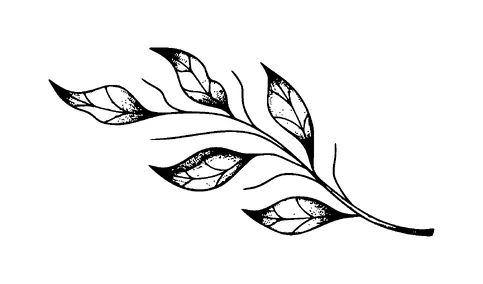 Plant Tattoo Meaning, PNG and SVG