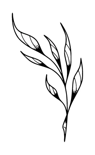 Plant Tattoo Meaning, PNG and SVG