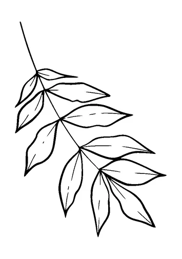 Plant Branch Tattoo Meaning, PNG and SVG