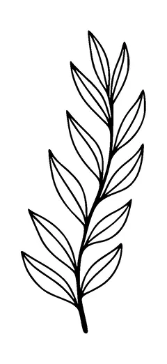 Plant Branch Tattoo Meaning, PNG and SVG