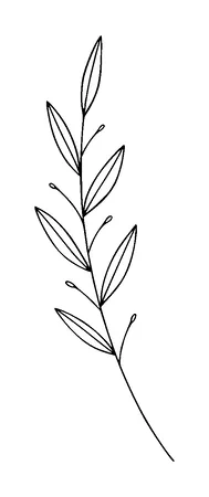 Plant Tattoo Meaning, PNG and SVG