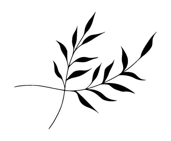 Plant Tattoo Meaning, PNG and SVG