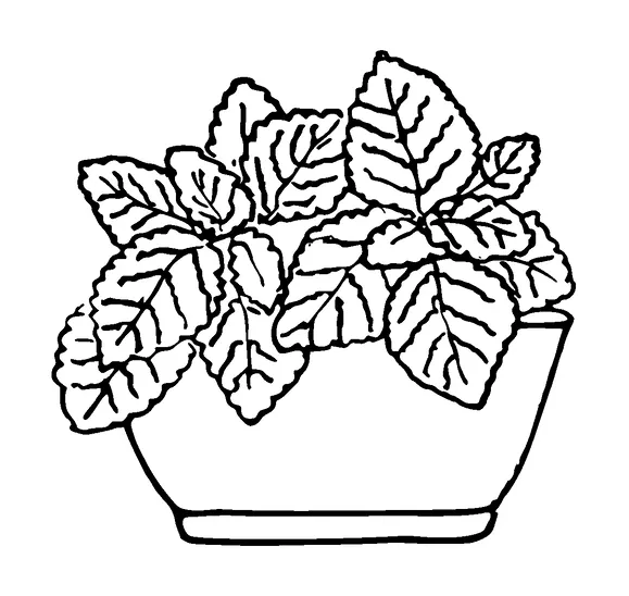 Plant In Pot Tattoo Meaning, PNG and SVG