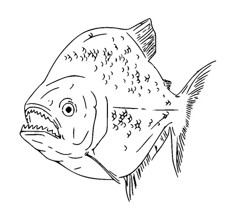 Predatory Fish Tattoo Meaning, PNG and SVG