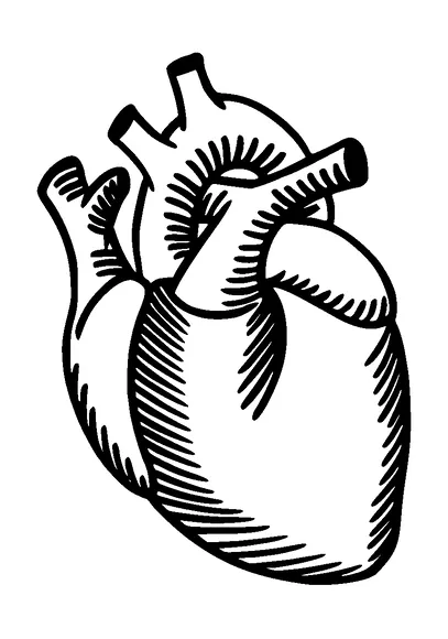 Real Heart Tattoo Meaning, PNG and SVG