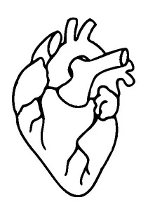 Real Heart Tattoo Meaning, PNG and SVG