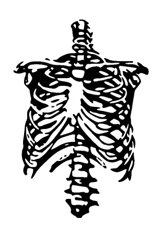 Rib And Spinal Column Skeleton Tattoo Meaning, PNG and SVG