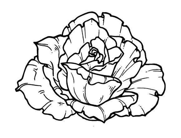 Rose Tattoo Meaning, PNG and SVG