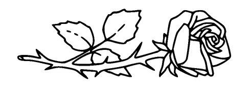 Rose Tattoo Meaning, PNG and SVG