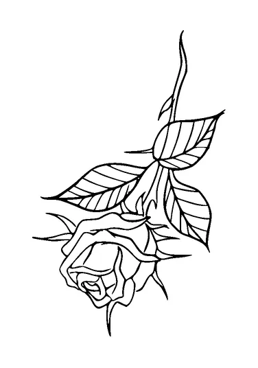 Rose Tattoo Meaning, PNG and SVG