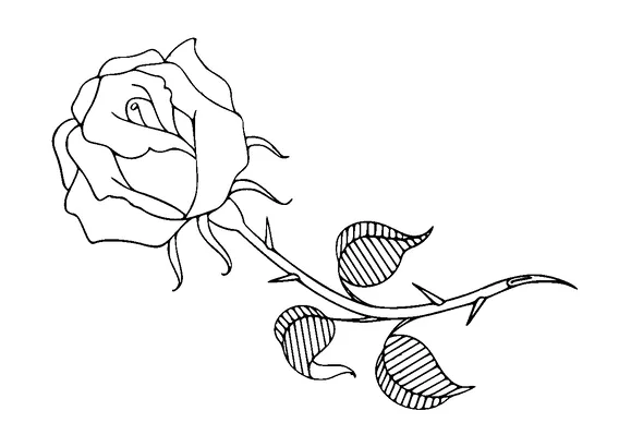 Rose Tattoo Meaning, PNG and SVG