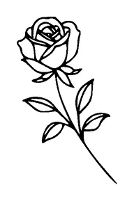 Rose Tattoo Meaning, PNG and SVG