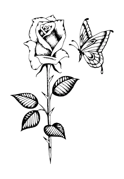 Rose And Butterfly Dots Tattoo Meaning, PNG and SVG