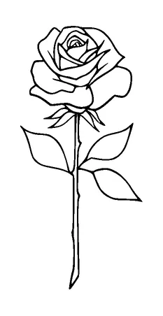 Rose Tattoo Meaning, PNG and SVG