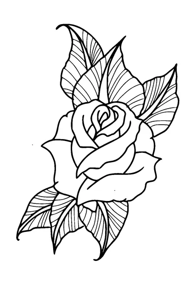 Rose Leaves Tattoo Meaning, PNG and SVG