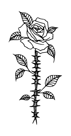 Rose On Barbed Wire Tattoo Meaning, PNG and SVG