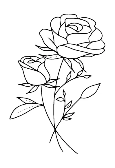 Roses Tattoo Meaning, PNG and SVG