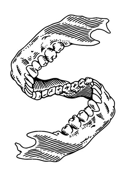 S Shape Tooth Jaw Skull Tattoo Meaning, PNG and SVG