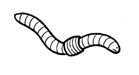 Sad Worm Tattoo Meaning, PNG and SVG