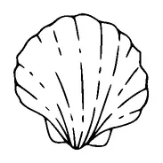 Scallop Tattoo Meaning, PNG and SVG