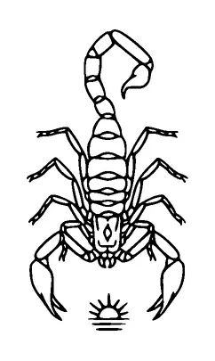 Scorpion Tattoo Meaning, PNG and SVG