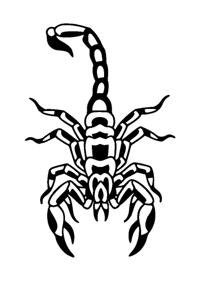 Scorpion Tattoo Meaning, PNG and SVG