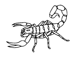 Scorpion Tattoo Meaning, PNG and SVG