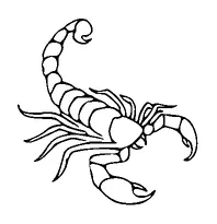 Scorpion Tattoo Meaning, PNG and SVG