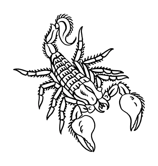 Scorpion Tattoo Meaning, PNG and SVG