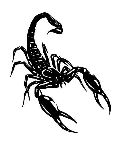 Scorpion Black And White Tattoo Meaning, PNG and SVG