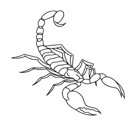 Scorpion Tattoo Meaning, PNG and SVG