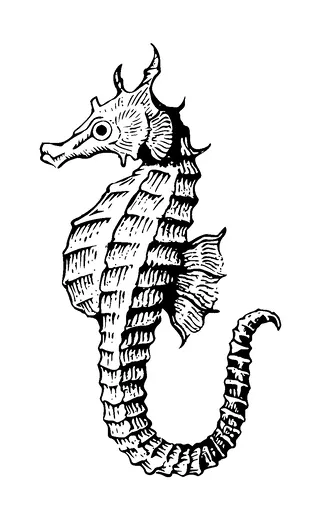 Seahorse Tattoo Meaning, PNG and SVG