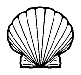 Shell Tattoo Meaning, PNG and SVG