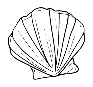 Shell Tattoo Meaning, PNG and SVG