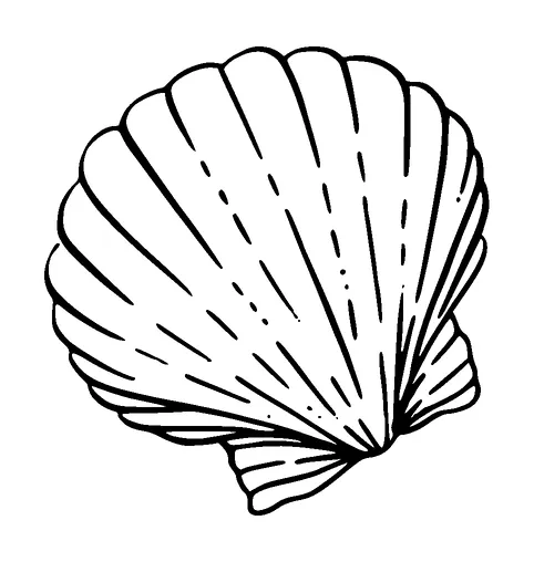 Shell Tattoo Meaning, PNG and SVG