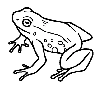 Simple Frog Tattoo Meaning, PNG and SVG