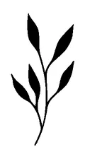 Simple Leaf Branch Tattoo Meaning, PNG and SVG