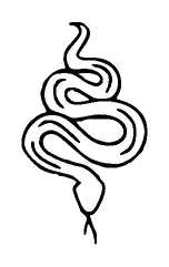 Simple Snake Tattoo Meaning, PNG and SVG